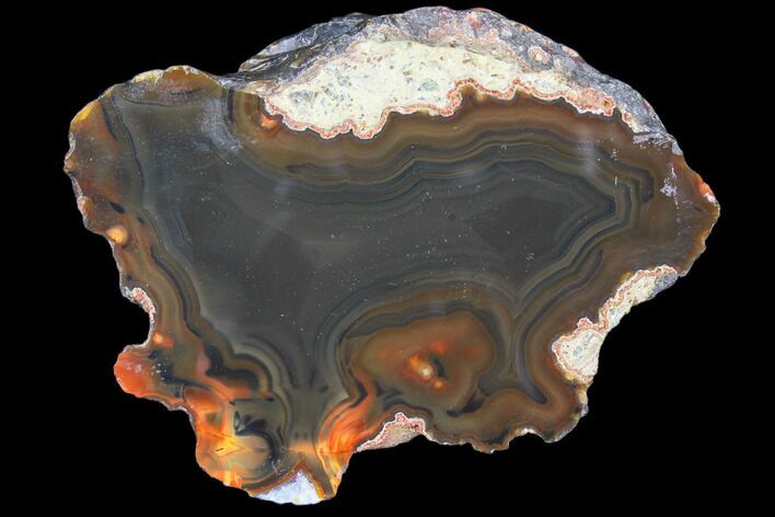 Beautiful Condor Agate From Argentina - Cut/Polished Face #79530